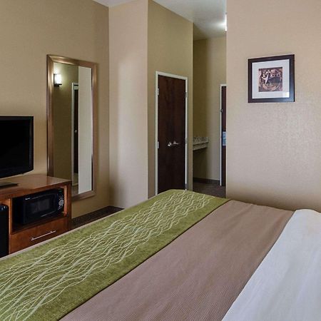 Comfort Inn Midland South I-20 Екстериор снимка